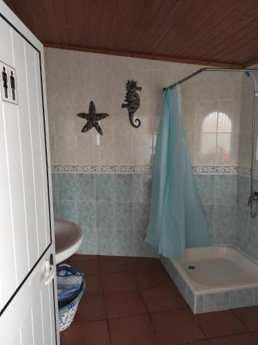 a bathroom with a shower and a bath tub at Fazenda do Marante in Tomar