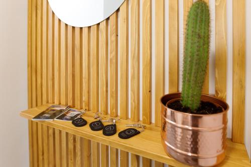 a cactus sitting on a wooden shelf next to a plant at TERRAVERA in Terrasini