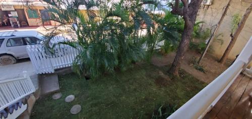 an aerial view of a yard with a bench and a tree at Looking Good Surf House San Juan del Sur in San Juan del Sur