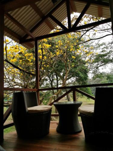 a porch with chairs and a tree in the background at Cabaña del Lago in Cuatro Esquinas