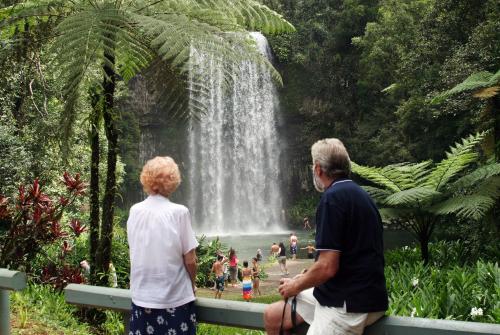 Gallery image of Lake Eacham Tourist Park & Cabins in Lake Eacham