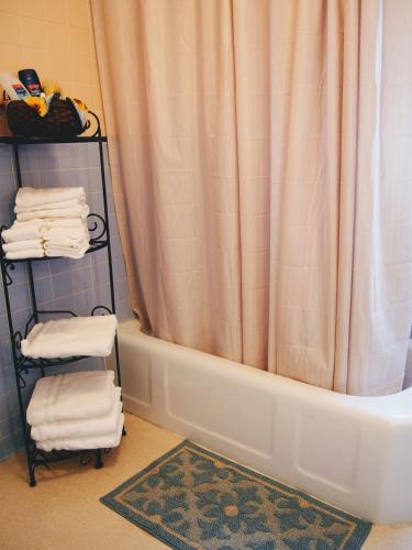 a bathroom with a shower curtain and a bath tub at The Avanti Houses in South Bend