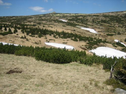 a view from the top of a hill with snow and trees at Pension Jana - Wellness in Jilemnice