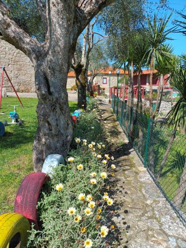 Κήπος έξω από το Casa D`Auleira