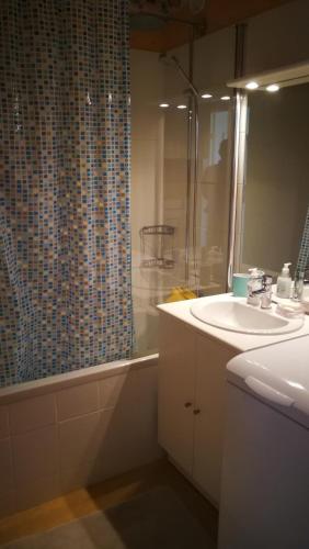 une salle de bain avec un lavabo et une douche dans l'établissement Charmant 2 pièces à 5 mn à pied de la mer, à Cabourg