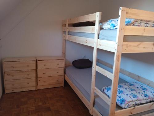 a bedroom with two bunk beds and a dresser at Čebelica, apartma 101, Terme Čatež in Brežice