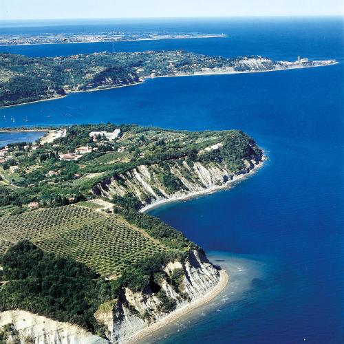 an aerial view of an island in the ocean at Holiday Park Vile - Terme Krka in Strunjan