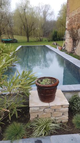 a pool with a planter in the middle of a yard at Le moulin de Varax in Saint-Paul-de-Varax