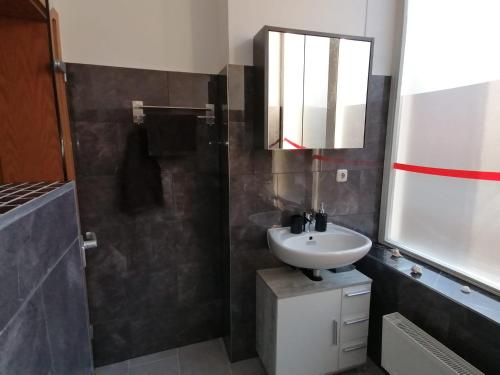 een badkamer met een wastafel en een spiegel bij City Apartment #1 bei der Porzellan Manufaktur in Meißen