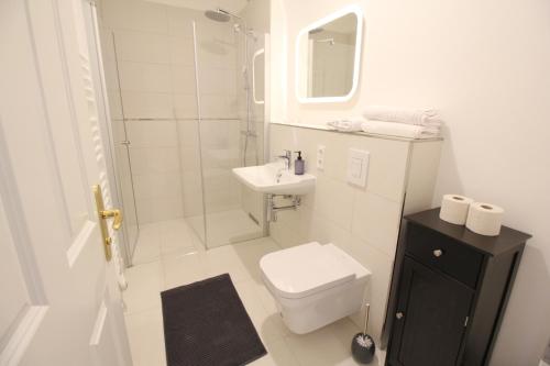 a bathroom with a toilet and a sink and a shower at Zu Besuch im Palast - Perfekte Lage in Dresden