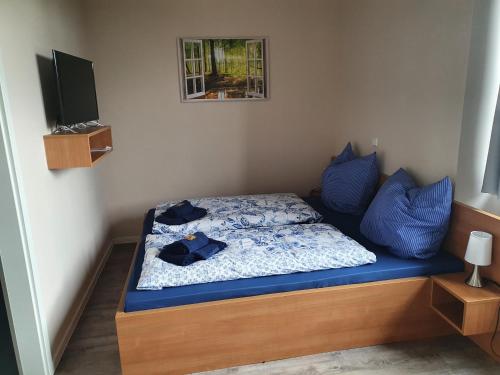 Schlafzimmer mit einem Bett mit blauen Kissen und einem TV in der Unterkunft Hofbräu Zur Schönen Aussicht in Nordhausen