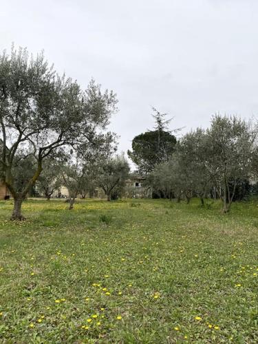 Taman di luar MAS EN DRÔME PROVENÇALE