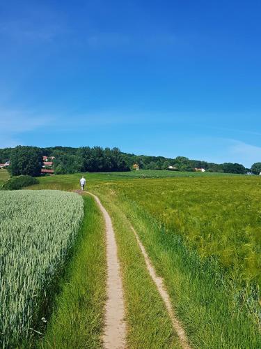 a person walking down a dirt road in a field at B&B Le Reclus in Mont-de-l'Enclus