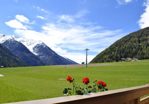 Billede fra billedgalleriet på Großglockner Goldried Chalet i Kals am Großglockner