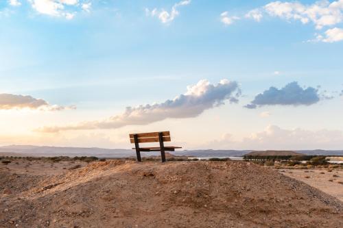a bench sitting on top of a pile of dirt at Ras Hasita in H̱aẕeva
