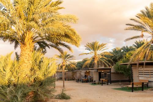 a group of palm trees in front of a building at Ras Hasita in H̱aẕeva
