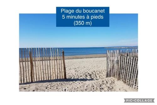 Entre mer et pinède