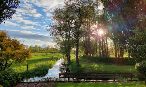 a park with a bench next to a river at Tusken Wad en Wâld in Kollumerzwaag
