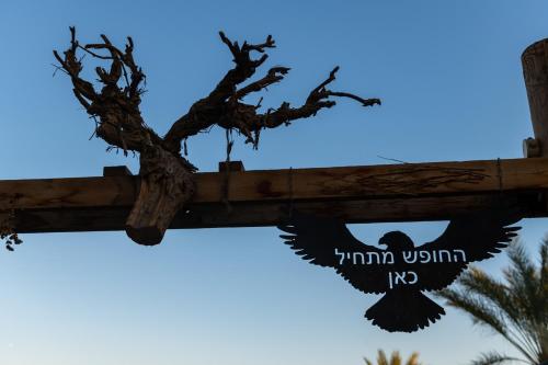 a bird perched on a pole next to a tree at Ras Hasita in H̱aẕeva