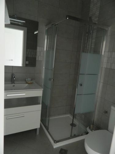 a bathroom with a shower and a toilet and a sink at Hotel Restaurant Baladrar in Benissa