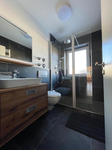 a bathroom with a toilet and a sink and a shower at Ferienwohnungen im Dorfwirt in Blaichach