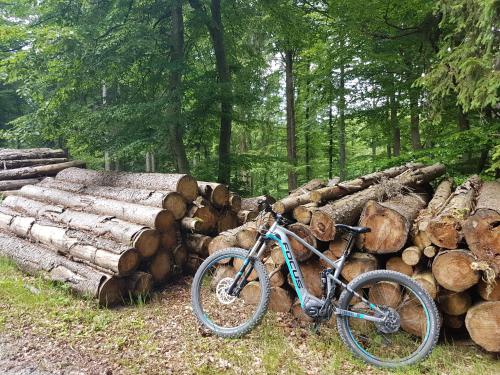 a bike parked next to a pile of logs at Hotel Winterberg Resort in Winterberg