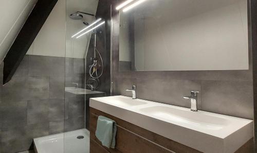 een badkamer met een wastafel, een spiegel en een toilet bij Tusken Wad en Wâld in Kollumerzwaag