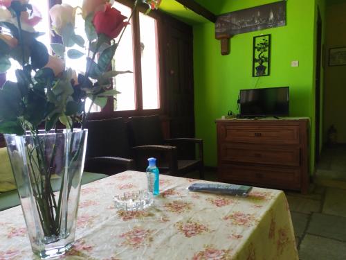 a vase of flowers on a table with a television at Apartments in Mylopotamos in Milopotamos