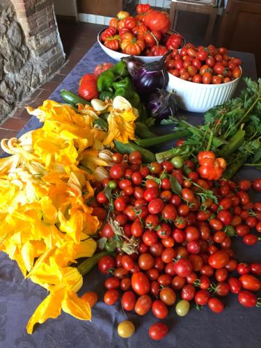 a bunch of tomatoes and other vegetables on a table at Agriturismo Campo dei Lupi in Vicopisano