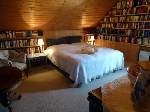 1 dormitorio con 1 cama en una habitación llena de libros en Romantikzimmer im Antiquariat, en Sonnschied