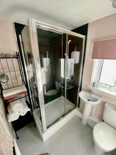 a bathroom with a shower and a toilet and a sink at St Martin’s view in Haverfordwest