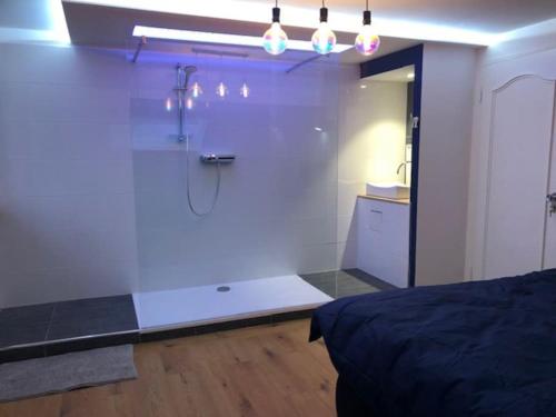 a bathroom with a shower and a bed in a room at Art & Bretzel in Ribeauvillé