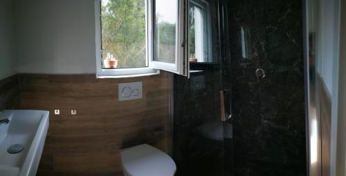 een badkamer met een douche, een toilet en een raam bij La casa dei fichi in Porto Azzurro