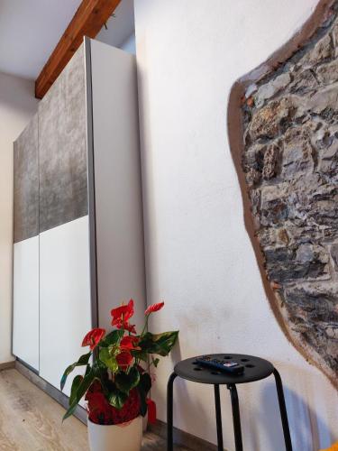 a table and a plant in a room with a wall at Homestead Zavadlal - Domačija Zavadlal in Komen