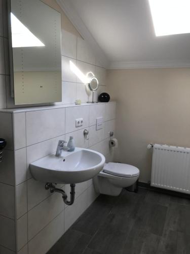 a bathroom with a sink and a toilet and a mirror at Ferienwohnung Aronia in Warlow