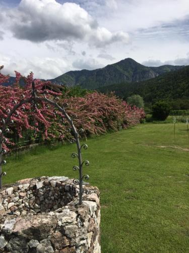 a plant growing out of a stone wall at Paradiso sul lago in Calceranica al Lago