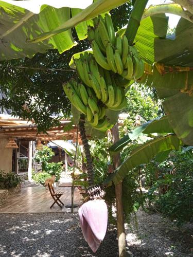 Un jardín fuera de La Percha Hostal