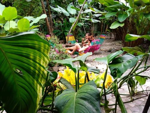 Un jardín fuera de La Percha Hostal