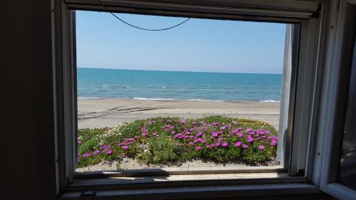 a window with a view of the beach and flowers at Casina sulla Sabbia in Torvaianica
