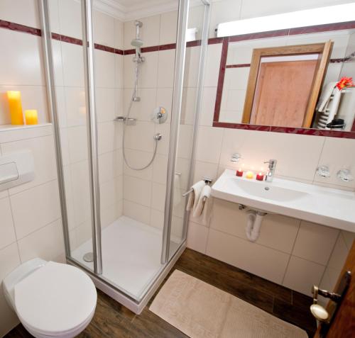 a bathroom with a shower and a toilet and a sink at Gästehaus Bergruh in Tux