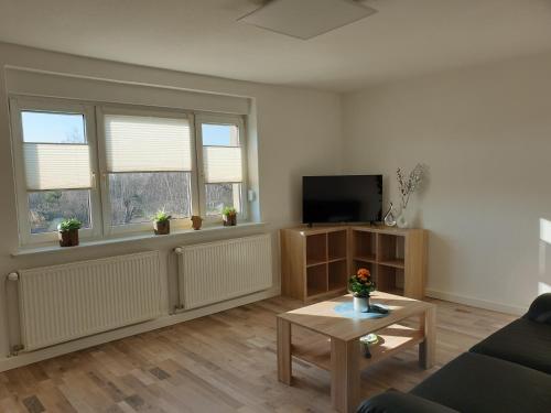 a living room with a couch and a tv and two windows at Spreewald Alte Mühle Bischdorf-Lübbenau in Bischdorf
