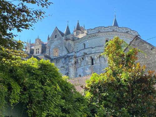 an old castle with trees in front of it at MAISON HULOTTE in Amboise