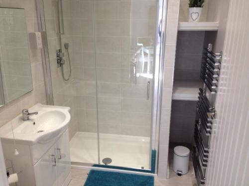 a bathroom with a shower and a sink at Kingfisher Lodge in Froggatt