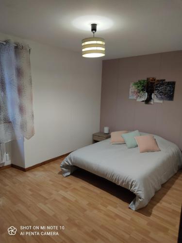 - une chambre avec un lit et une lampe pendant dans l'établissement Les gites de la bouldoire le marronnier, à Rignac