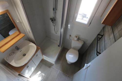 a bathroom with a sink and a shower and a toilet at LUBERON DES ARTISTES 2 in Apt
