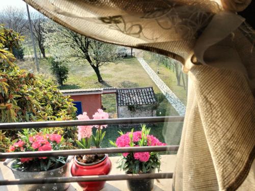a view of a balcony with flowers and a window at B&B Terre Di Bea in Pederobba