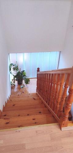 una escalera de madera en una casa con una planta en VISOKO Room en Visoko