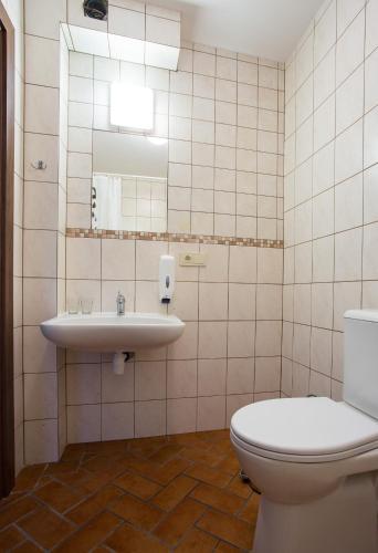 a bathroom with a toilet and a sink at Sodyba Ignė in Druskininkai