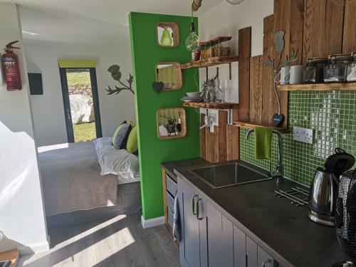 a kitchen with a sink and a green wall at The Wee Den in Balfron