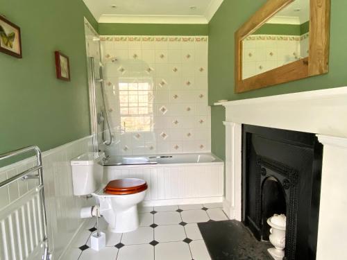 a bathroom with a toilet and a fireplace at Ballachulish House Apartment in Ballachulish